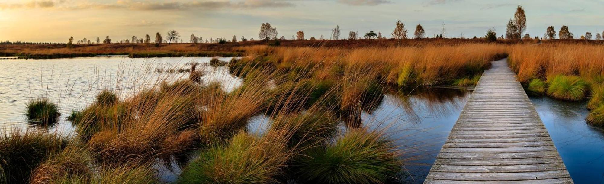 Holiday Inn Express Pascagoula-Moss Point By Ihg Exteriör bild